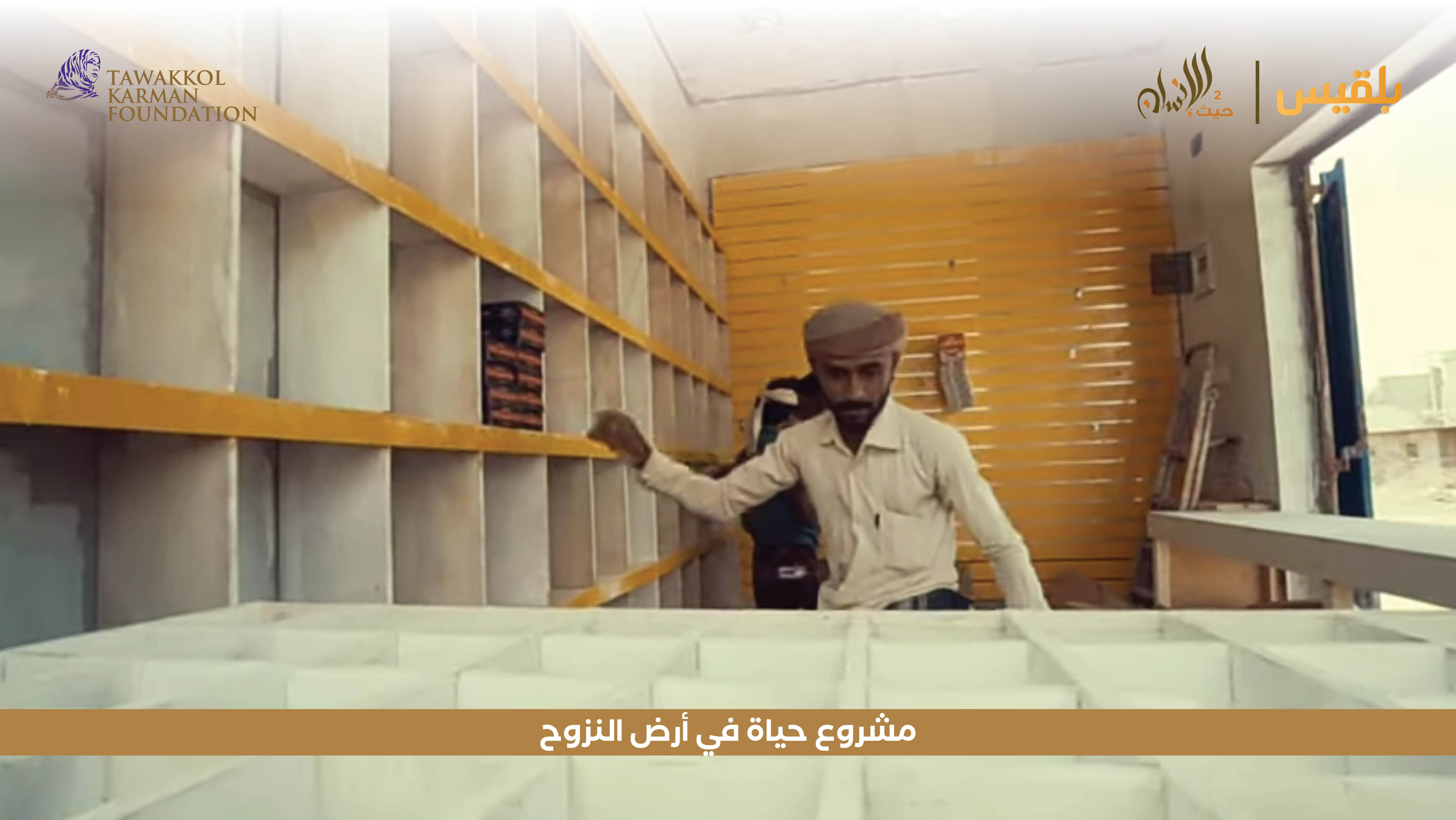 Haven For Humanity 36